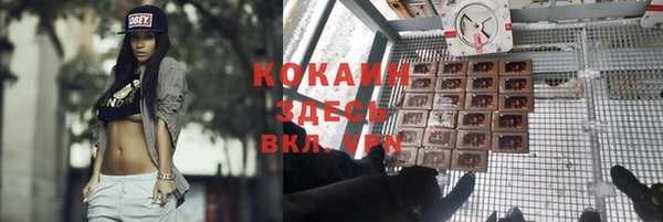 PSILOCYBIN Алексин