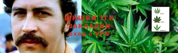 ешки Аркадак